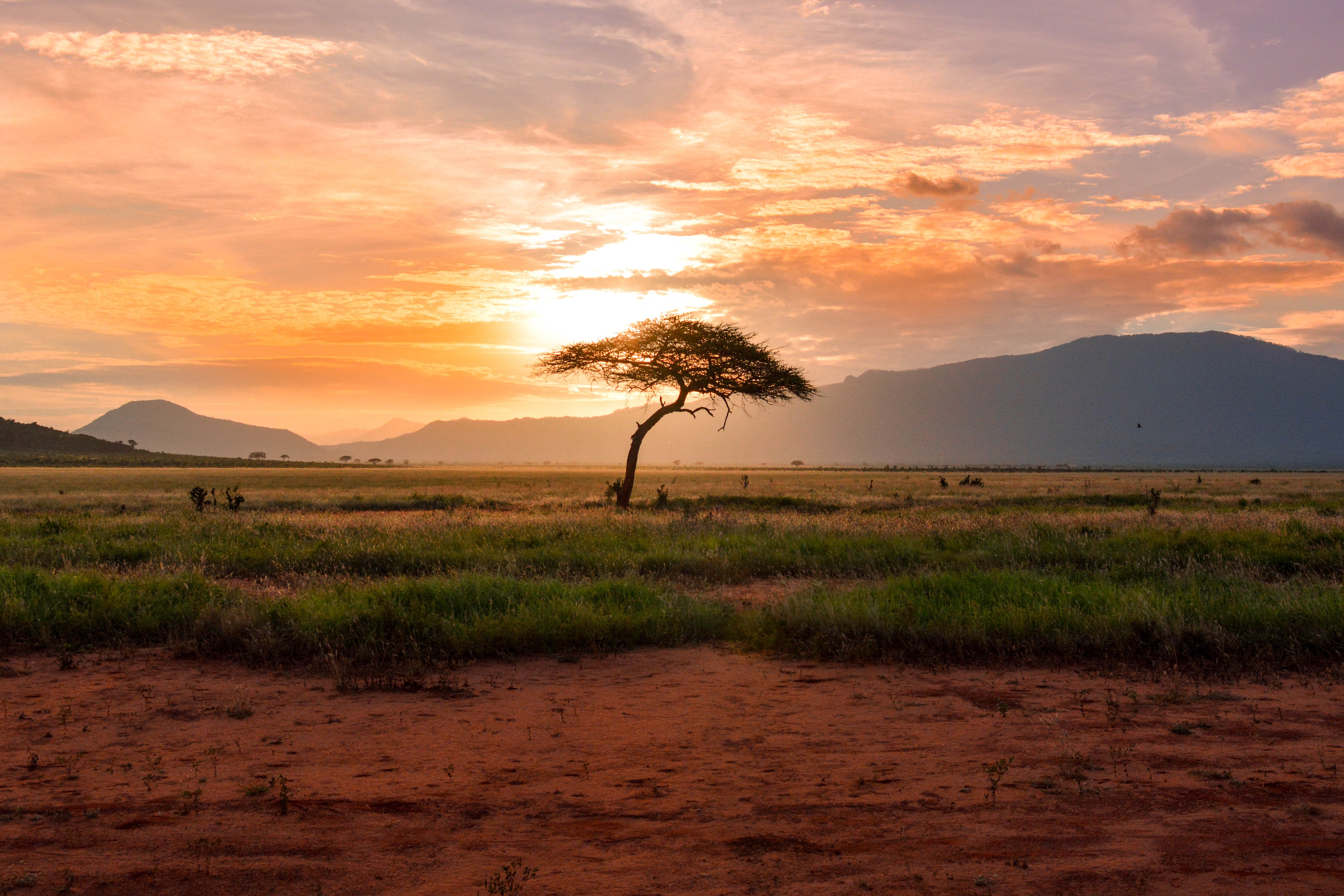 Carte postale des paysages africains Carte postale des paysages africains