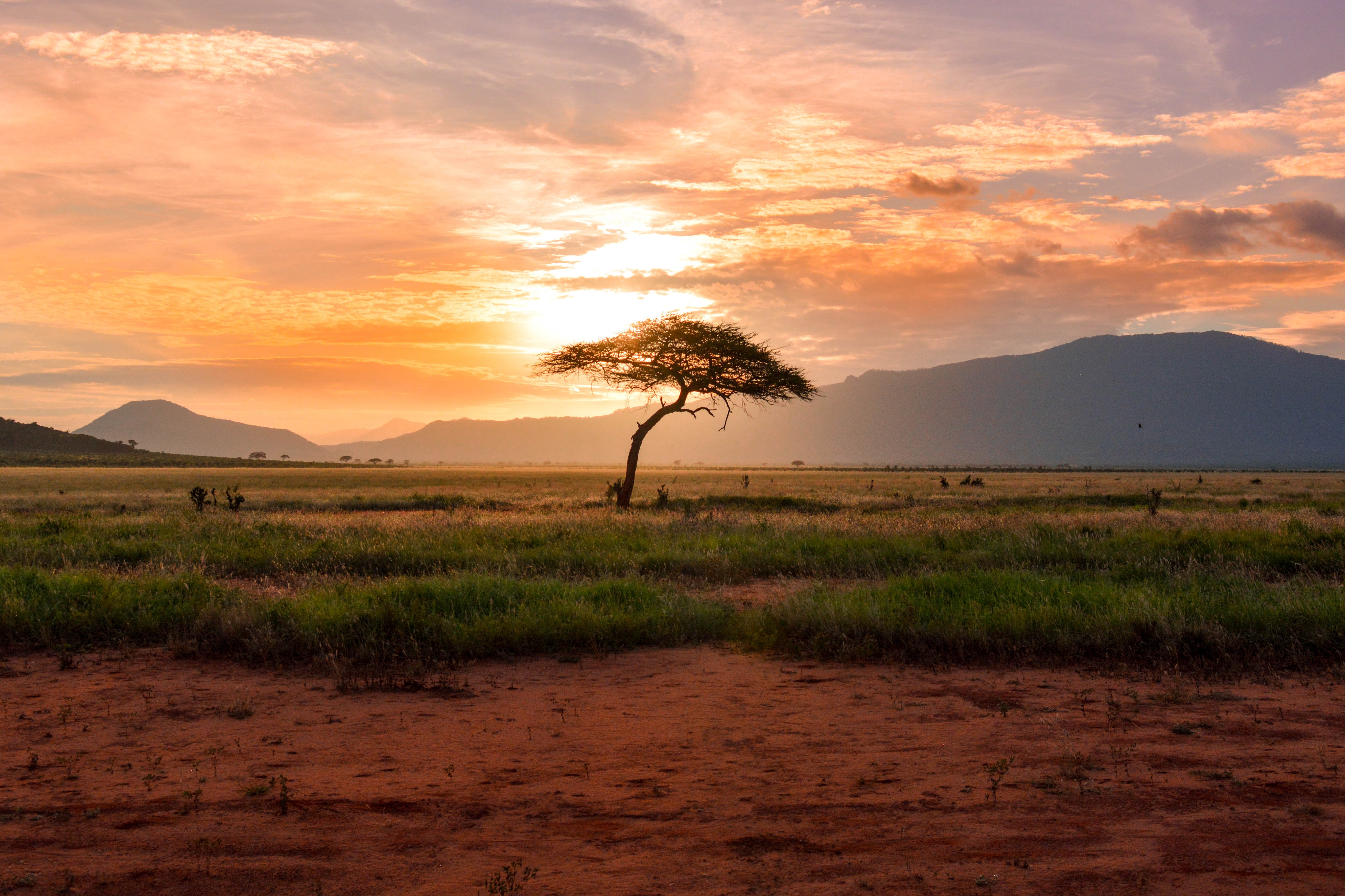 Carte postale des paysages africains