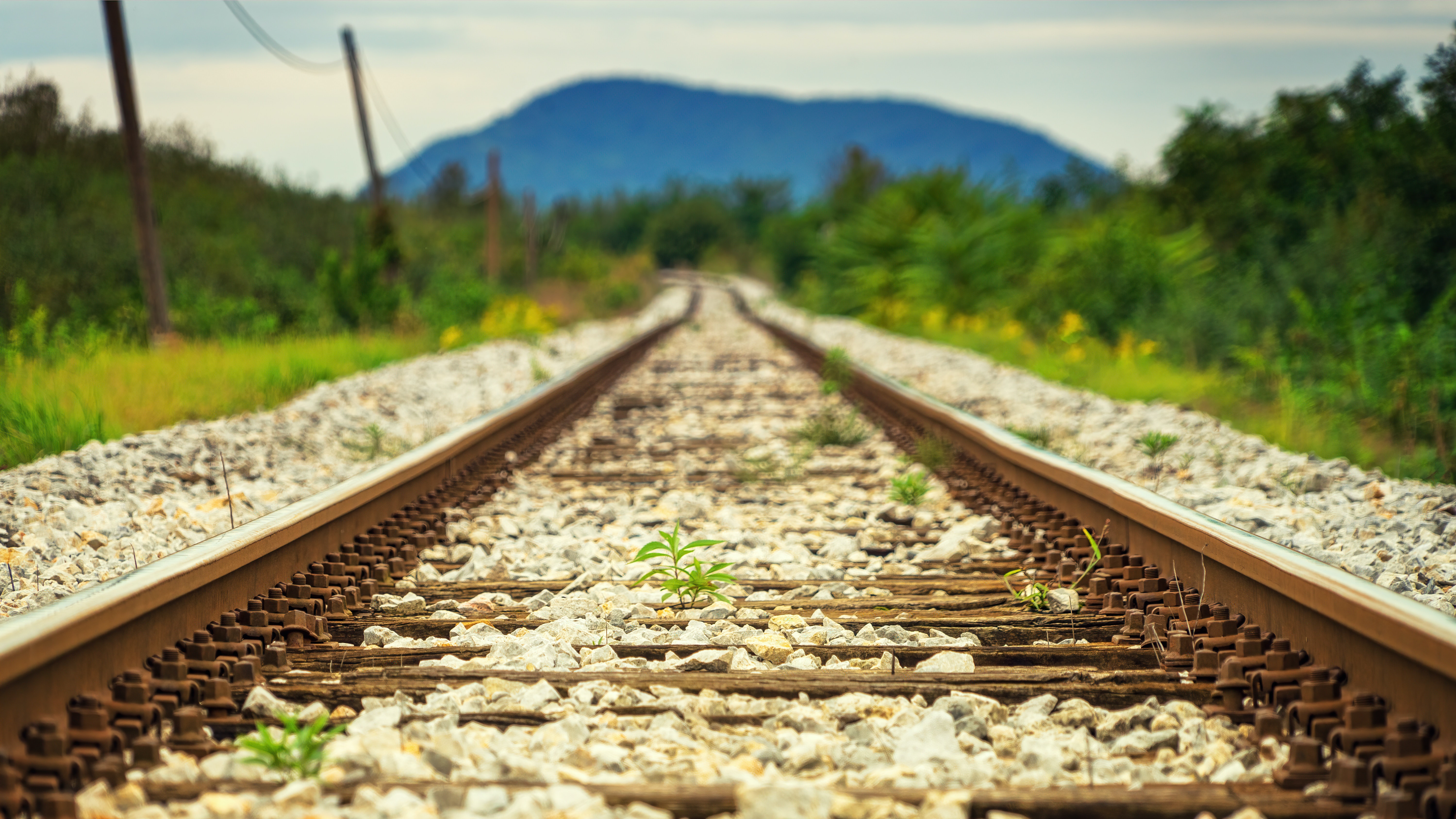 Rail de chemins de fer Rail de chemins de fer